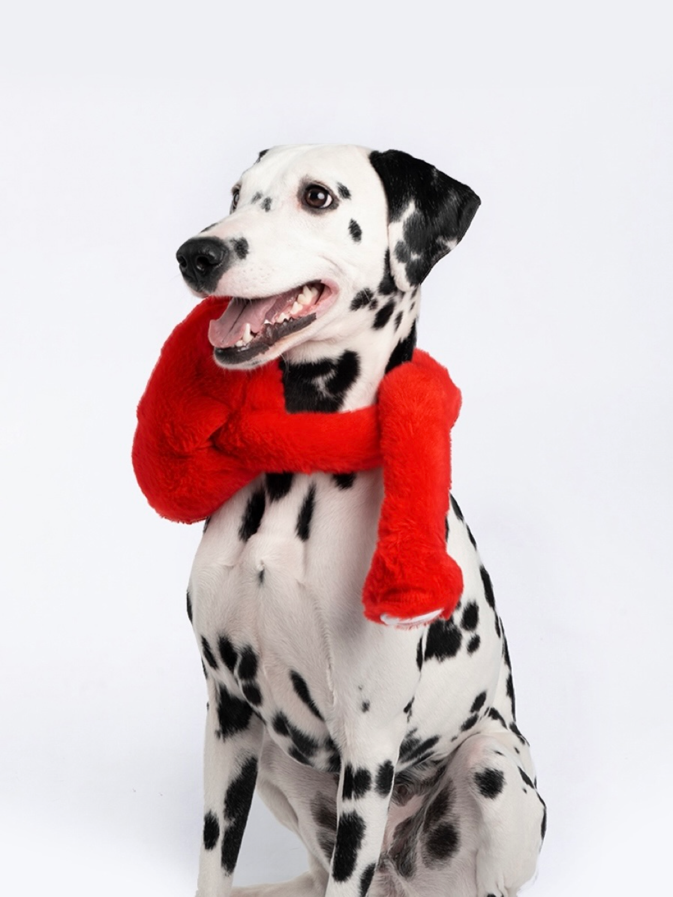 Heart-Shaped  Plush Toy